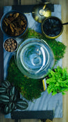 Terrarium Workshop Restalgic Atelier